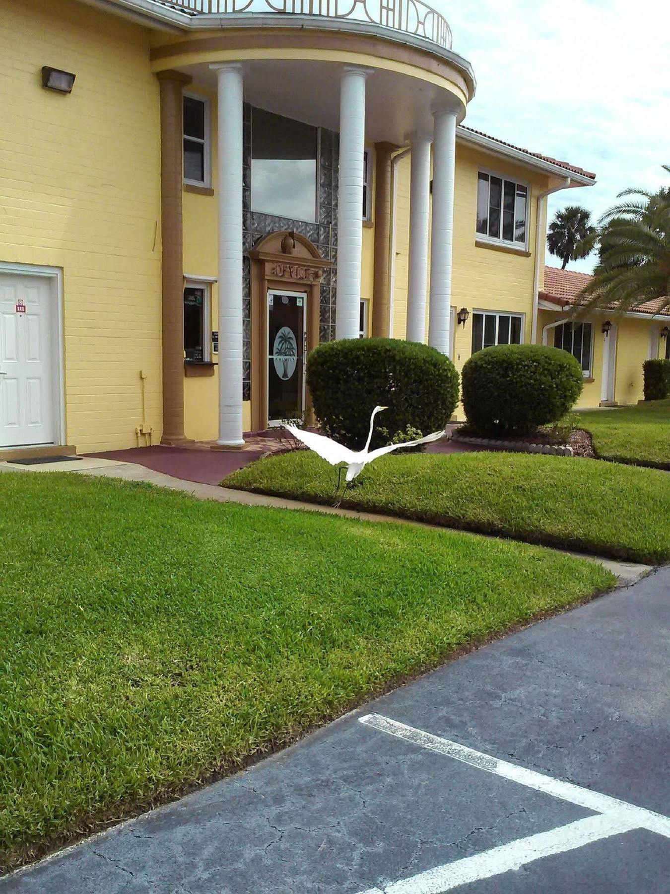 Super By Oyo Daytona Near Airport Motel *